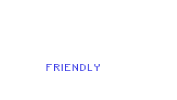 100% SEO friendly